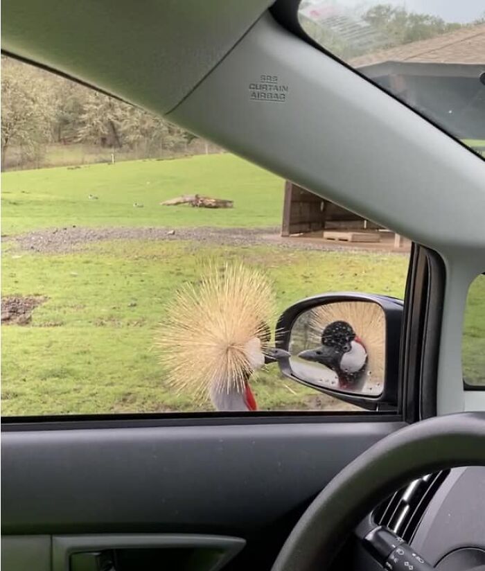 When You Think You’re Gonna Get A Great Photo But They Use You To Check Out Their Hair Instead