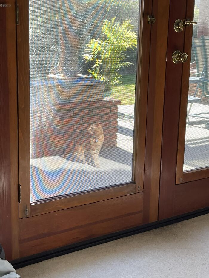 I Always Knew G2 Would Return Some Day