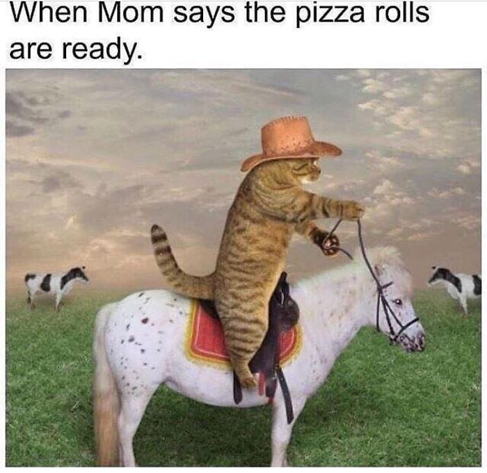 Funny-Uncomfortable-Memes