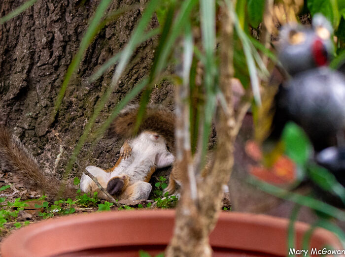 My First Post. Pic Is From 2016 And I'm Still Mad About It...lol