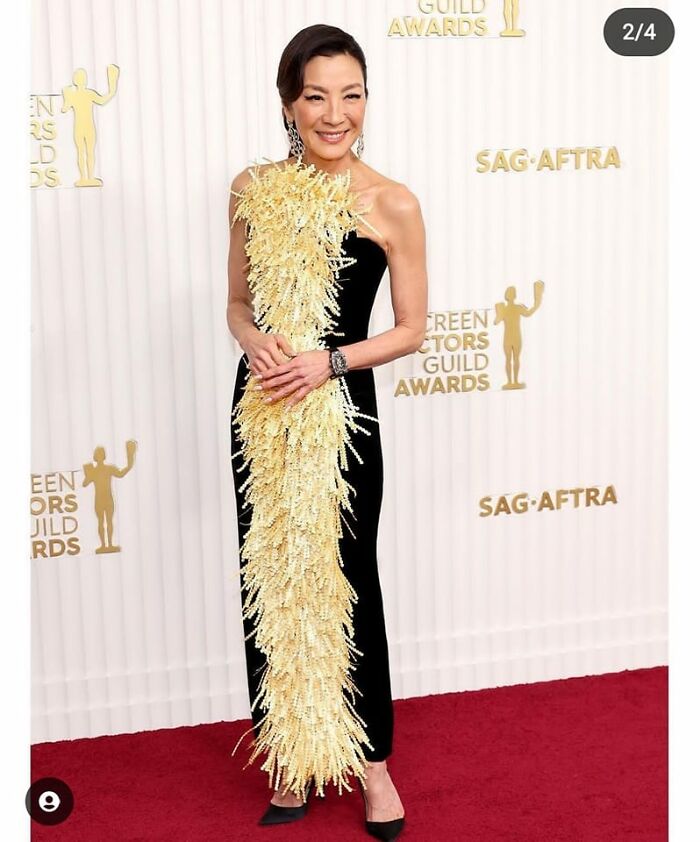 Shaming-Funny-Dress-Fashion