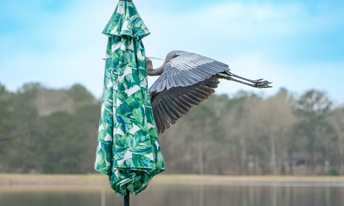 My Neighbor's Umbrella Gets Me Every. Single. Time