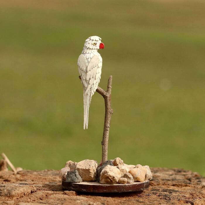 All The Beauty Of Nature Shown In Paper Cutouts By An Indian Artist