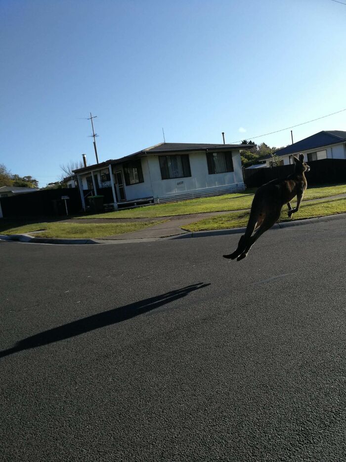 Posted This Before, But It's Still The Best