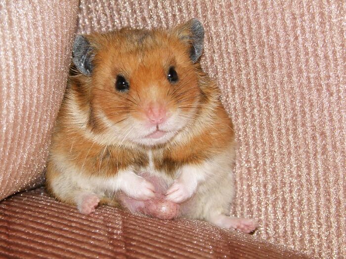 30 Times People Realized They’re Not The Brightest Crayon In The Box, As Shared In This Online Group