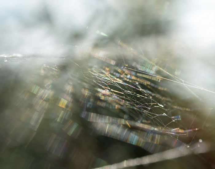 30 Facts That Might Make You Think “Well, That’s Enough Internet For One Day”, As Shared By Folks In This Online Group