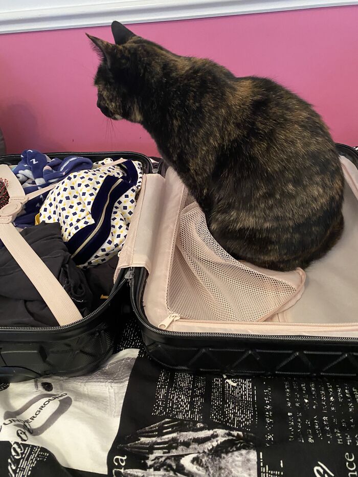 Here Are Some Photos Of My Pets To Hopefully Brighten Your Day (20 Pics)