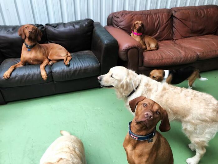 “What Made You Realize Your Best Friend Was Actually A Complete Jerk?” (30 Responses)