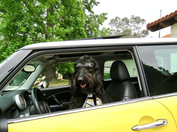 39 Folks Online List Driving Rules That Aren’t Written Down On Paper, Yet Everyone Still Should Know