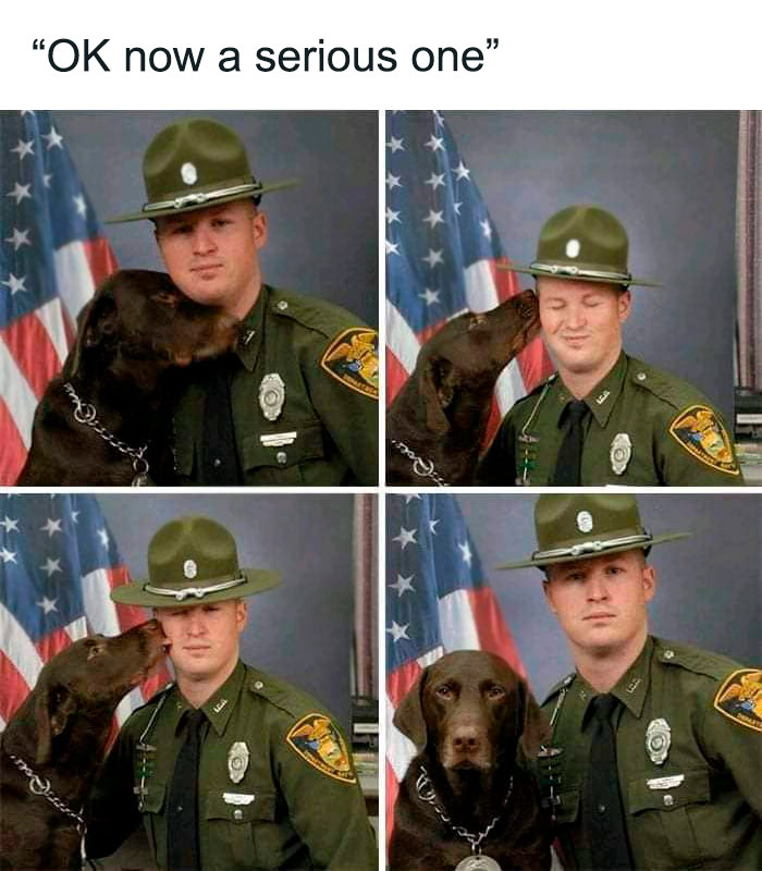 Funny-Respectful-Memes