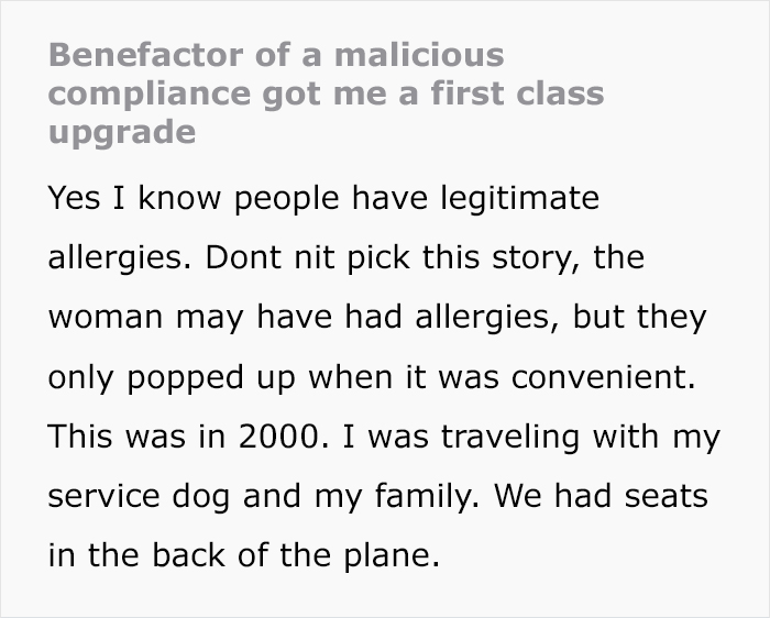 &ldquo;Karen, Of Course, Screeches For A Supervisor&rdquo;: Karen's Fake Allergy To Service Dog Backfires As The Airline Upgrades The Owner To First Class