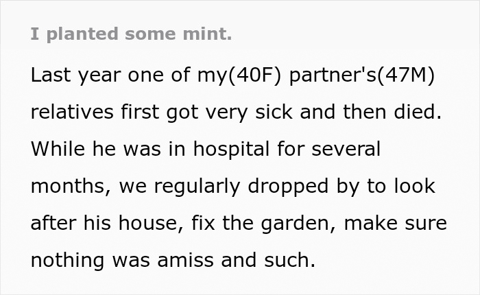 "By The Time This Problem Becomes Obvious, We Will Be Long Gone": Woman Plants Mint In Her Partner's Family's Garden To Get Revenge On Rude Neighbor "By The Time This Problem Becomes Obvious, We Will Be Long Gone": Woman Plants Mint In Her Partner's Family's Garden To Get Revenge On Rude Neighbor