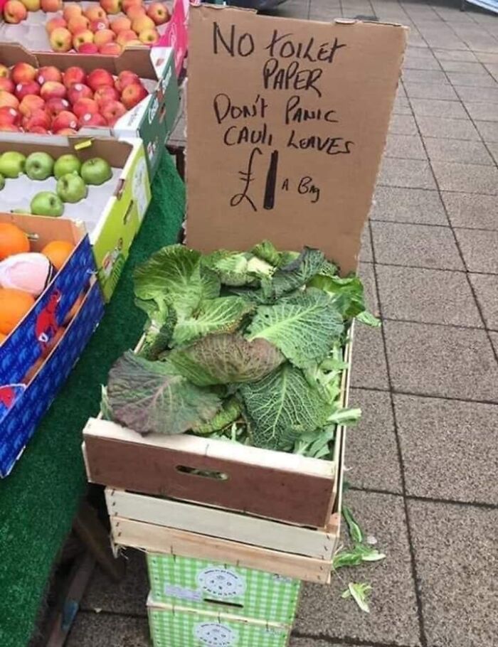 Terrible-Funny-Signs