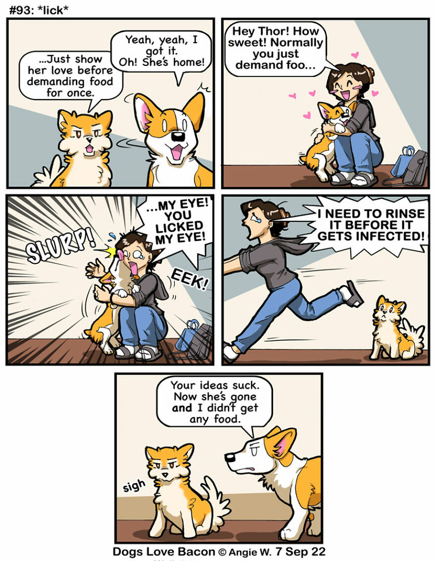 25 Comics That I Drew About The Lives Of My Rescue Dogs!