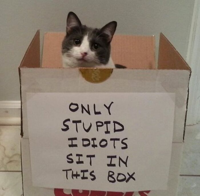 Funny-Uncomfortable-Memes