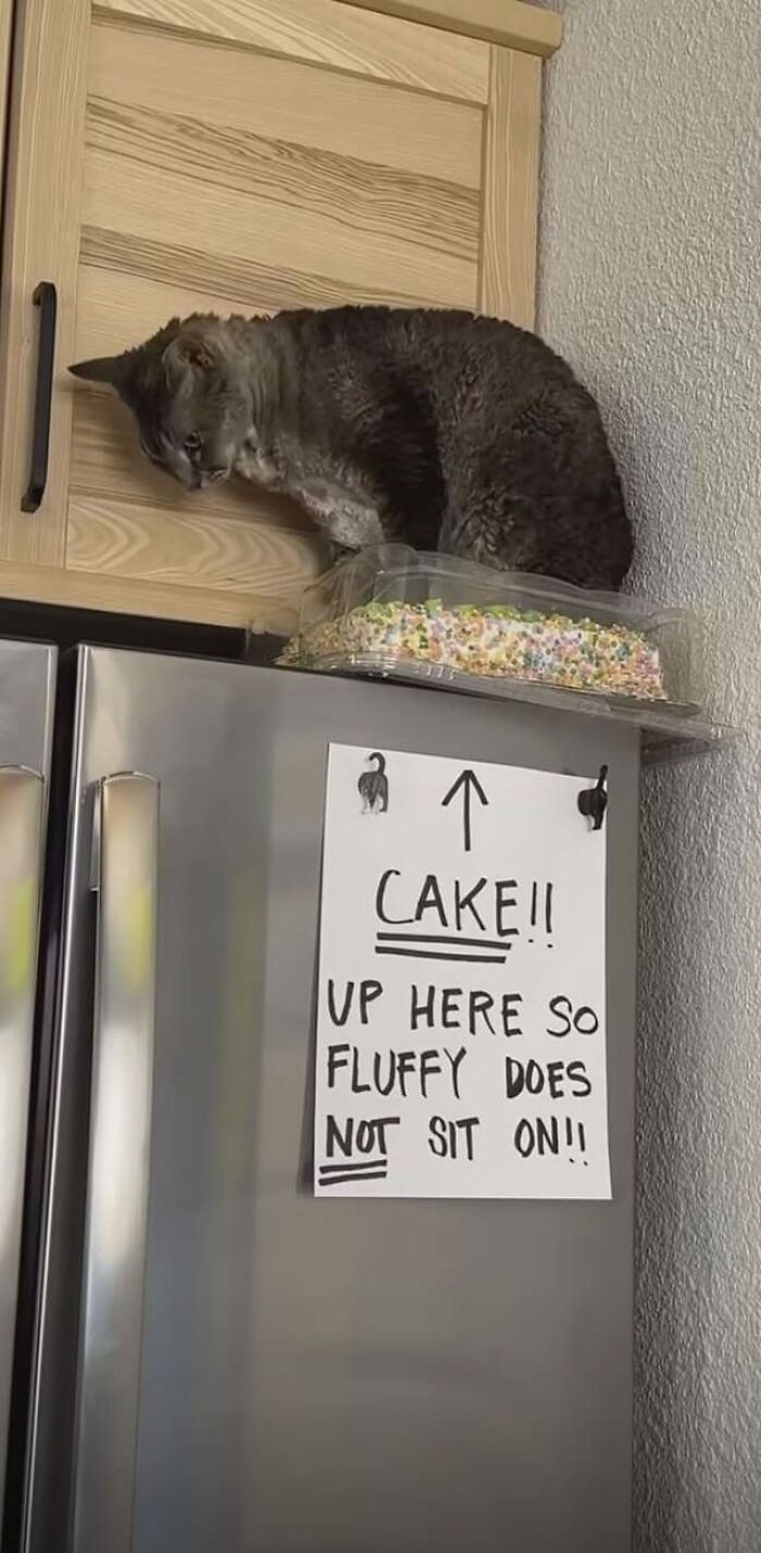 Funny-Uncomfortable-Memes