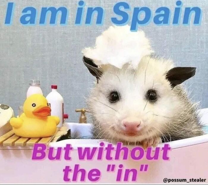 Funny-Uncomfortable-Memes