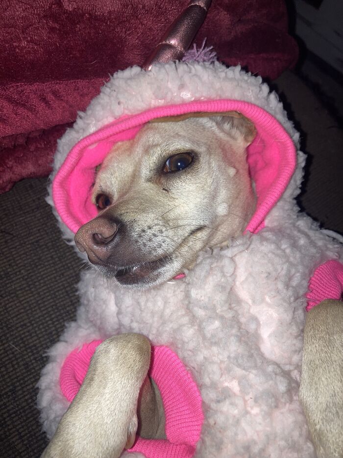 She Is Beauty, She Is Grace…