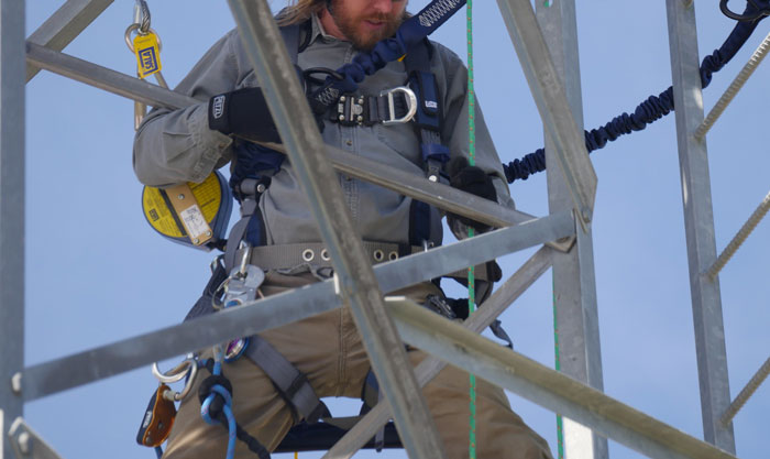 Person Maliciously Complies To Do Whatever Incompetent Coworker Says, Leading To Coworker&rsquo;s Demotion