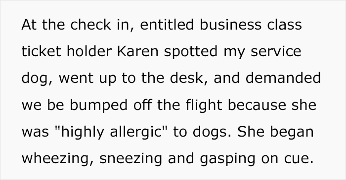 &ldquo;Karen, Of Course, Screeches For A Supervisor&rdquo;: Karen's Fake Allergy To Service Dog Backfires As The Airline Upgrades The Owner To First Class