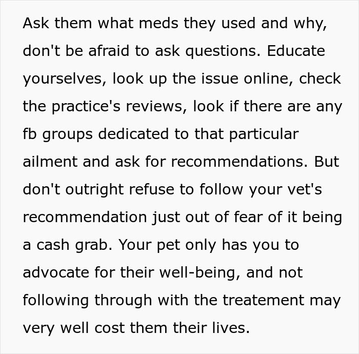 Woman Goes Off On Sister, Calls Her A &ldquo;Crazy Cat Lady That's Going To End Up Alone&rdquo; For Refusing To Help Her Out Financially