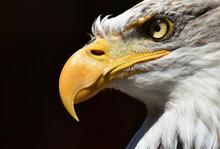 People Share 40 Creepy Things That They Wish Were Lies But Are Actually Scientific Facts