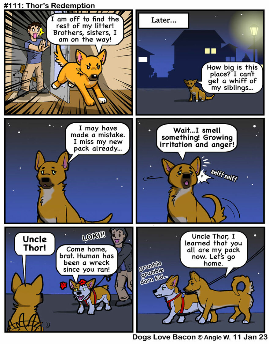 25 Comics That I Drew About The Lives Of My Rescue Dogs!
