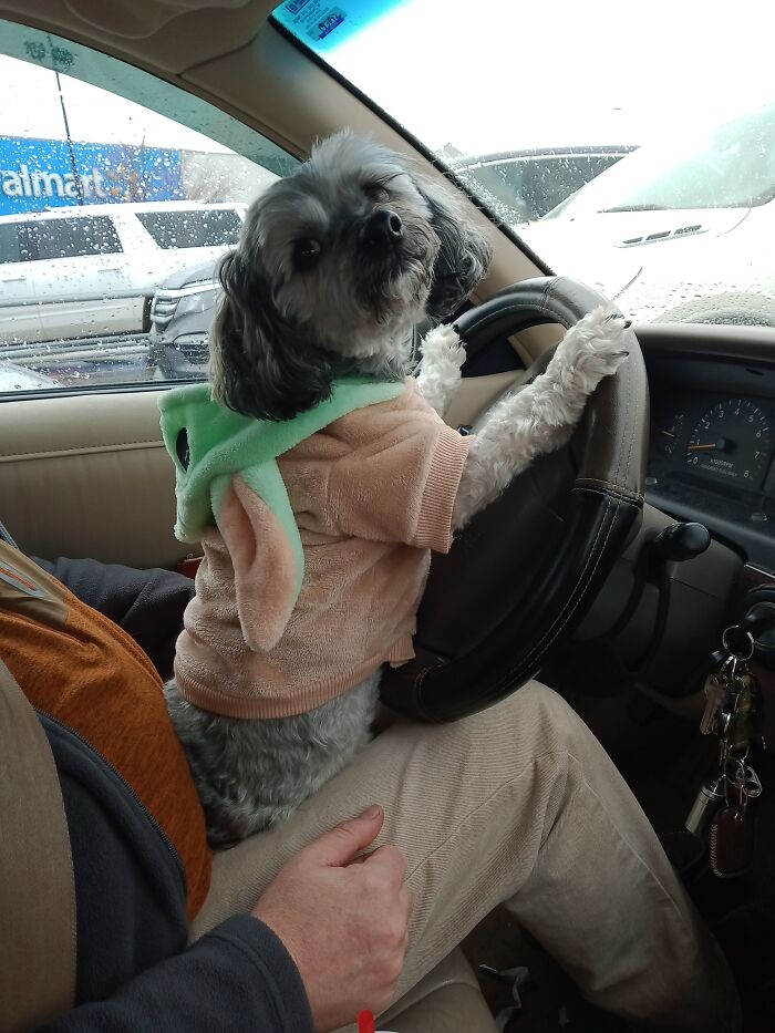 Smoki-Wan Says, "No, I Wasn't Speeding!"