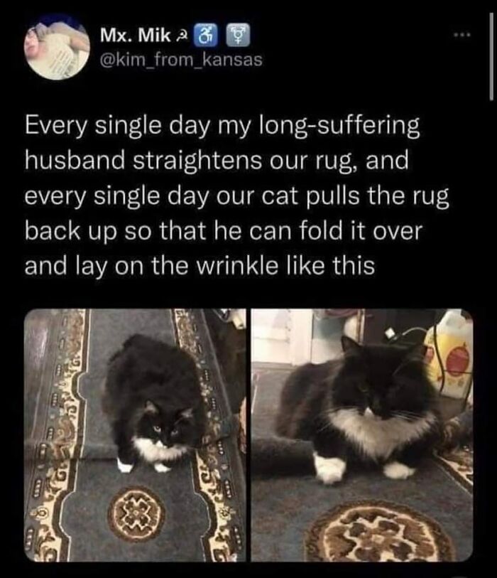 Funny-Uncomfortable-Memes