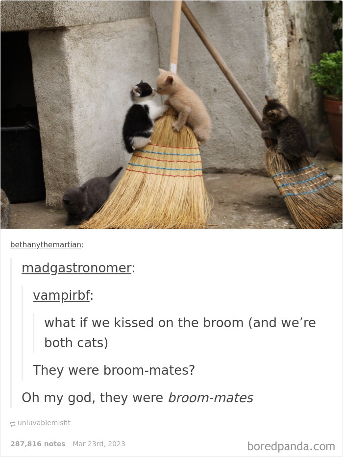 Funny-Weird-Tumblr-Screenshots-Antisocialduckling