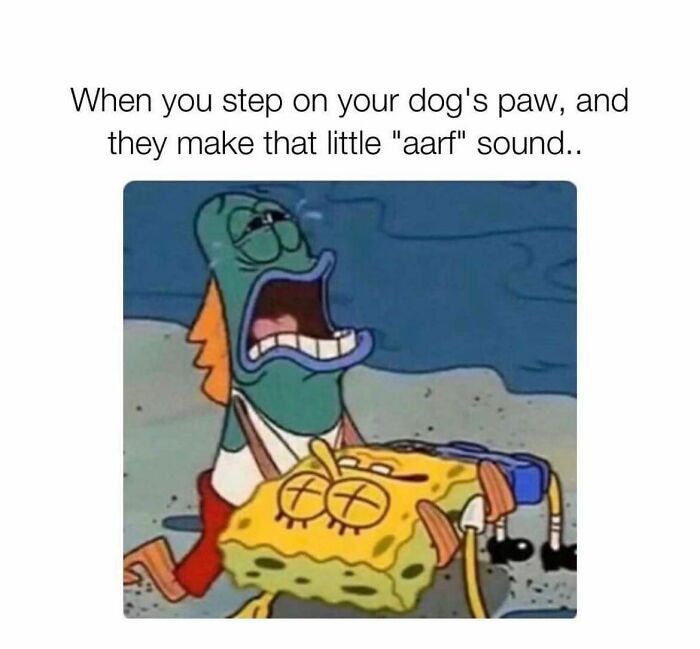 SpongeBob meme about stepping on dog's paw, depicting a fish character dramatically yelling, capturing relatable humor.