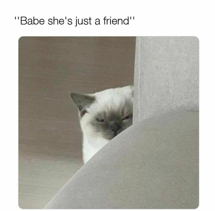 Funny-Evil-Memes-Justevilmemes