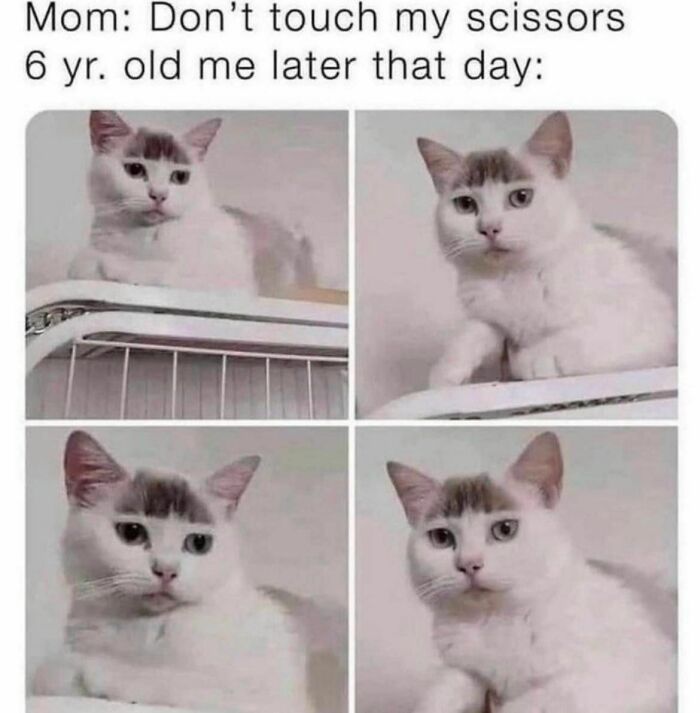 Funny-Evil-Memes-Justevilmemes