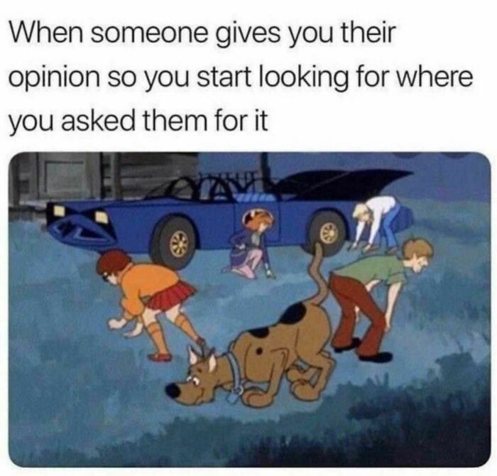 Scooby-Doo characters searching for something, symbolizing a relatable meme moment.