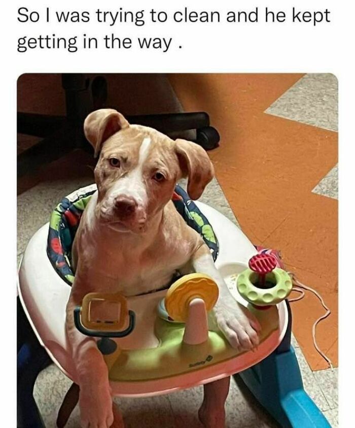 Funny-Evil-Memes-Justevilmemes