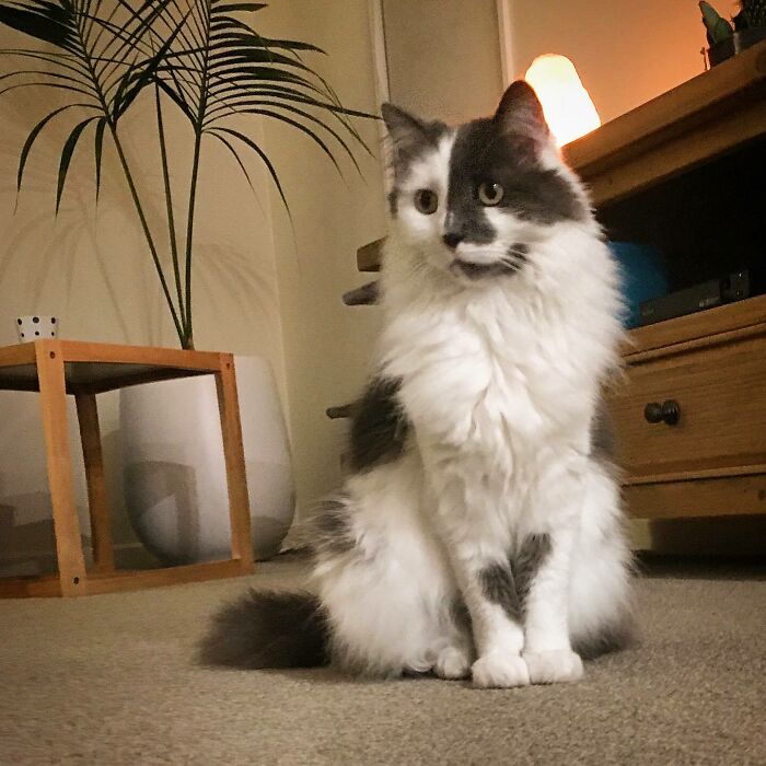 Harvey Did A Great Job Connecting The Two Halves Of A Heart