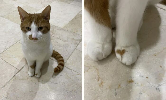 Heart Marked Mitten!