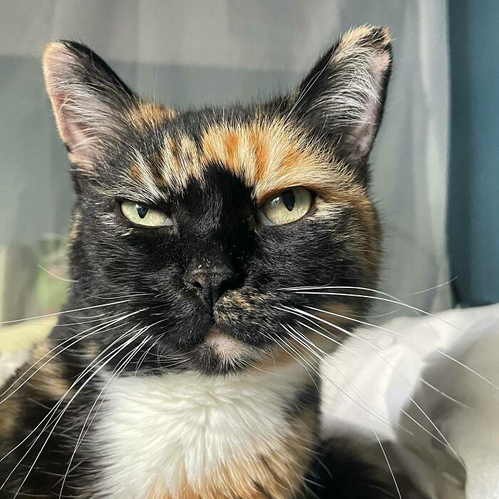 Feeling Skeptical. Might Delete Later