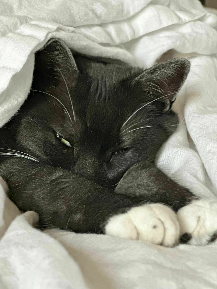 He Has A Little Dot On His Foot!