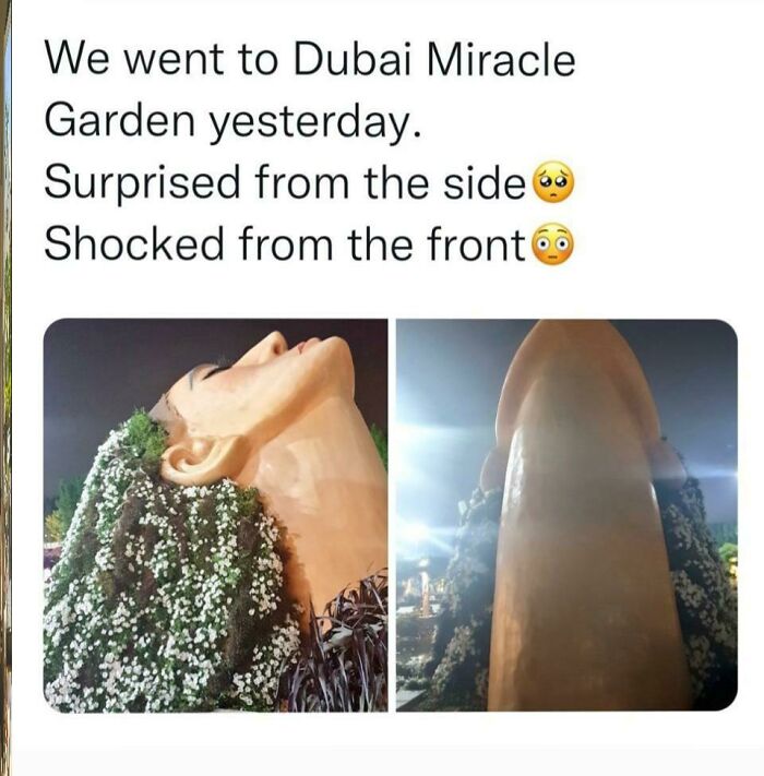 Forgive The Emojis, Not My Caption