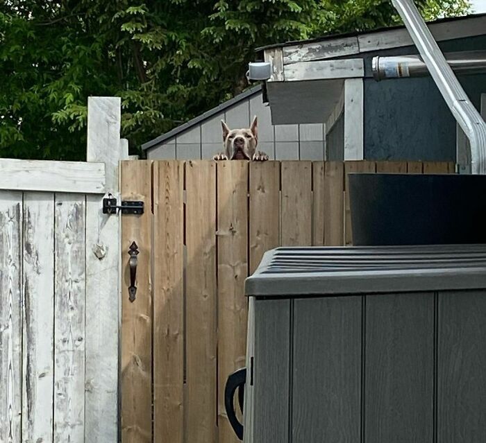 Let Me Out There With You Mom