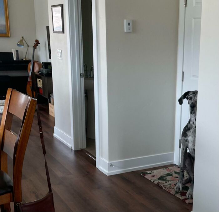 You Can Always Tell A Milford Man