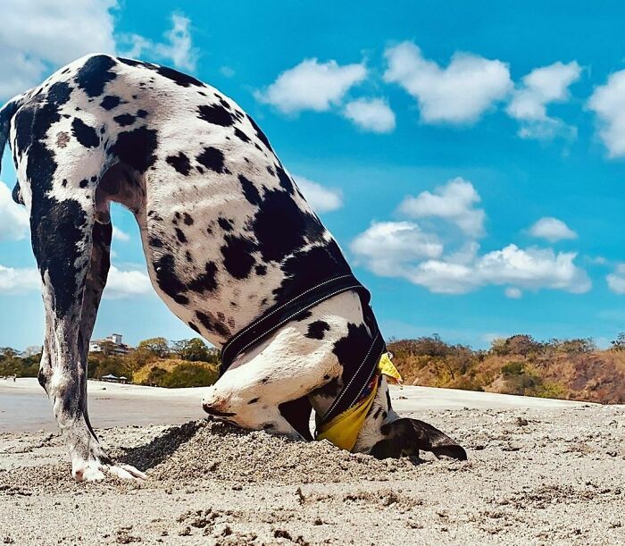 Trying To Find The Summer?