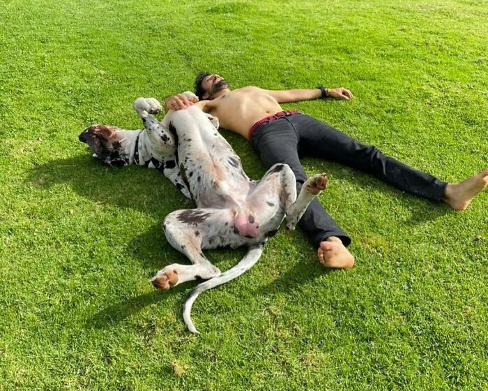 Friends Who Sunbathe Together Stay Together