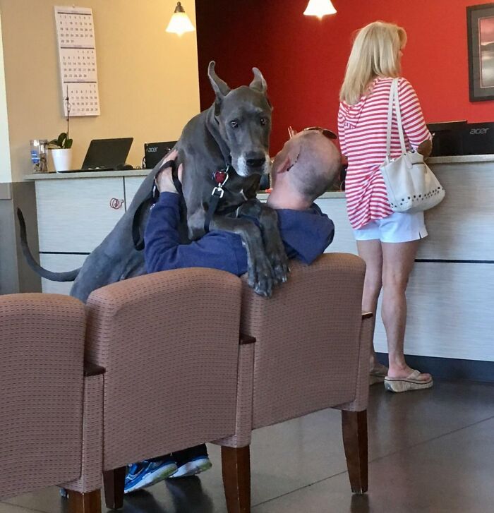 Just A Regular Checkup At The Vet