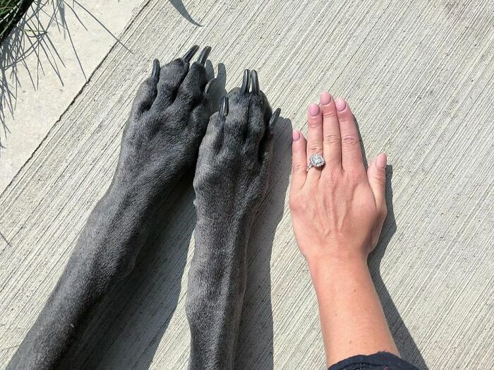 I Think That Ring Would Look Better On My Fingies But Mom Says It Won’t Fit