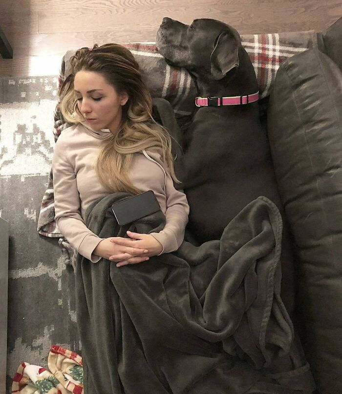 Hi, My Name Is Iris And When I’m Not Pushing My Mom Off The Bed, I’m Waking Her Up At Midnight And 4:30 AM To Sniff Around The Backyard For No Apparent Reason