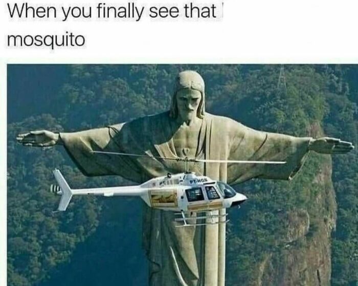 "Evil Kermit meme of a helicopter shaped like a mosquito next to a large statue."