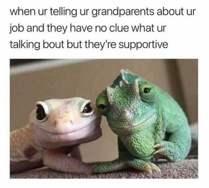Two lizards side by side, humorously representing grandparents being supportive despite not understanding. Relatable meme.