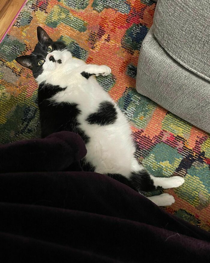 Batman, The Duke Of Batcave